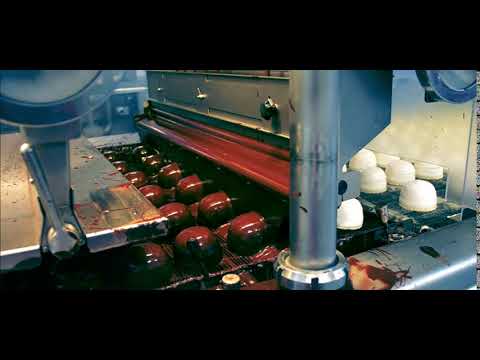 Spangsberg case film