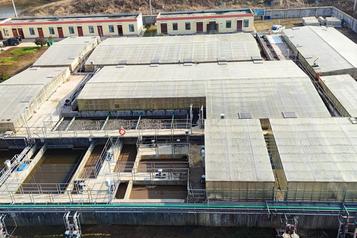 napier-grass-project-7.jpg