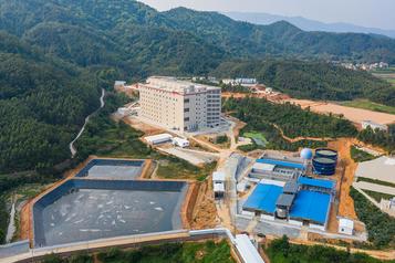 napier-grass-project-8.jpg
