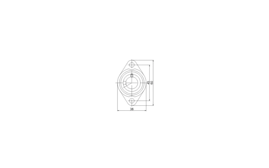 Mini Flanged bearing MUFL000, Ø10, 2-holes, eccentric collar, stainless steel