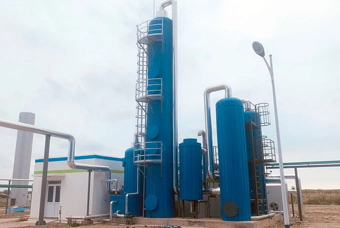 green biogas
