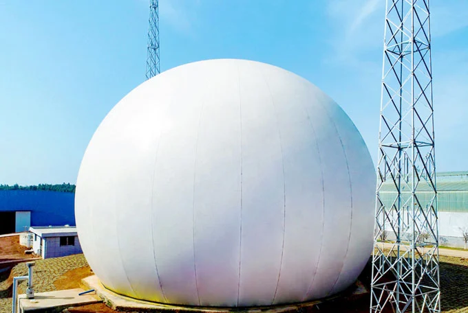 big biogas plant
