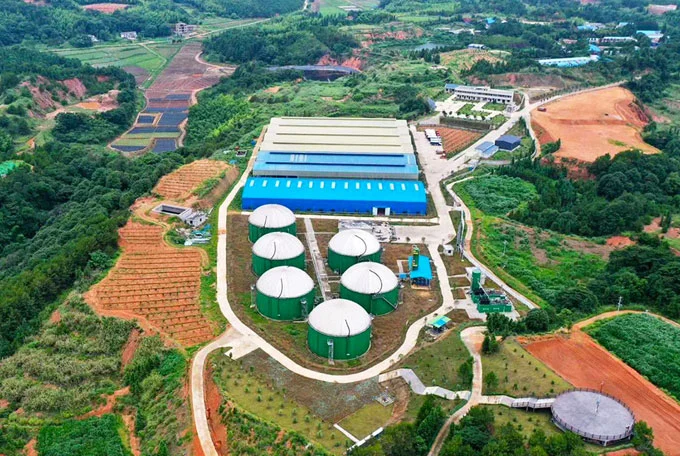 biogas based power generation project
