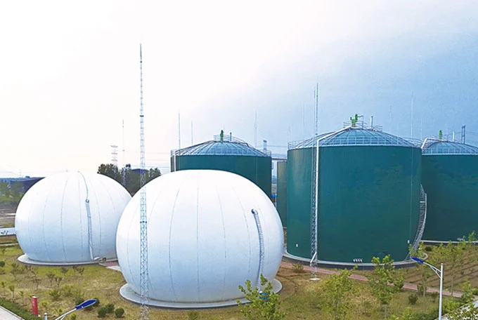 chicken manure biogas
