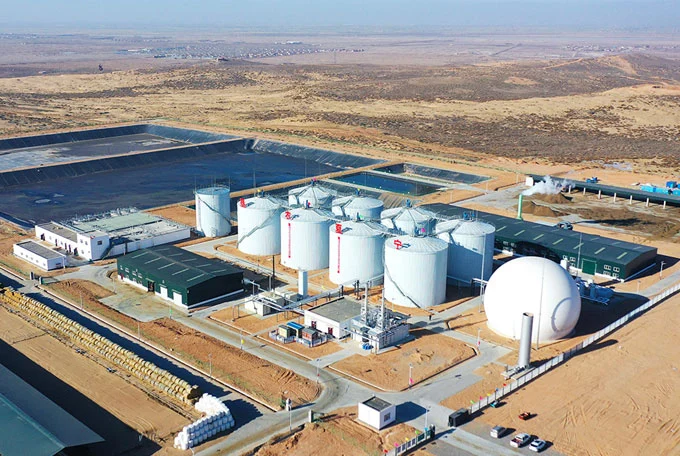 cow manure biogas
