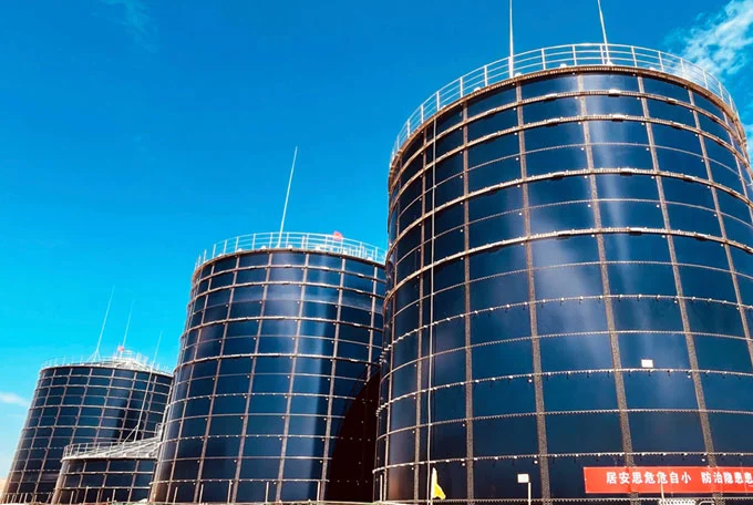 big biogas plant
